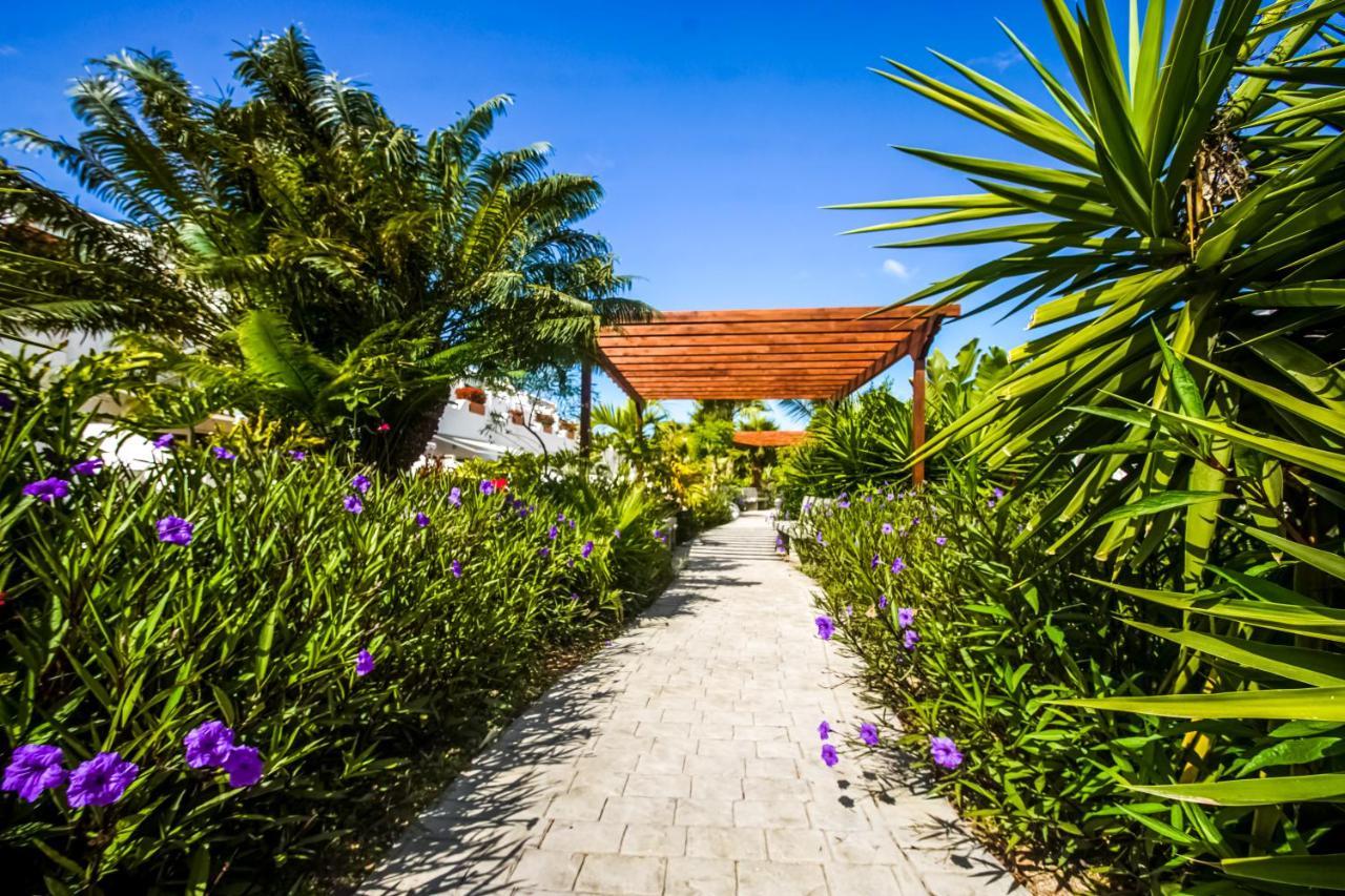 Parque Don Jose Apartment Costa Del Silencio Bagian luar foto